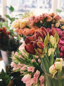 schnittblumen tulpen